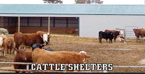 cattle shelters